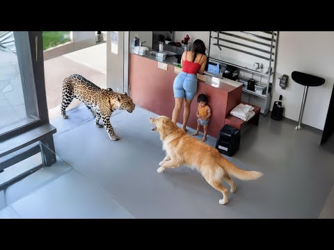 66 Hero Animals That Saved Human Lives