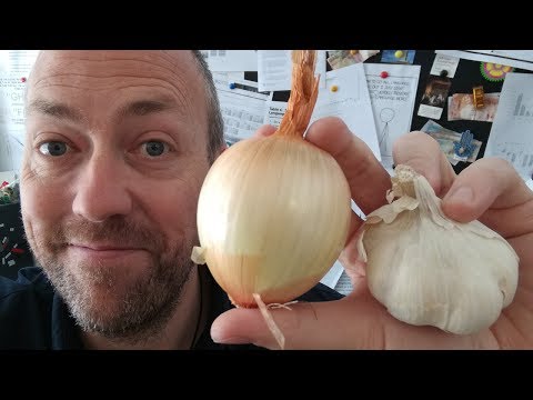 How to learn English vocabulary | Canguro English