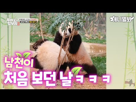 The three sisters experiencing everything for the first time