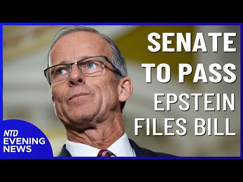 NTD Evening News Full Broadcast (Nov. 18)