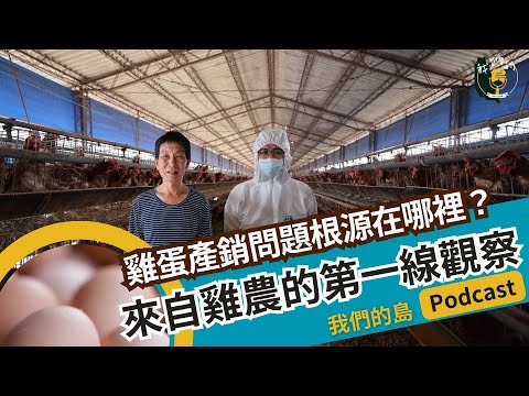 雞蛋產銷問題根源在哪裡？來自雞農的第一線觀察｜feat. 台中市養雞協會蛋雞組組長紀硯鈞｜實地雞場來開講 公視我們的島 Podcast @EP.19
