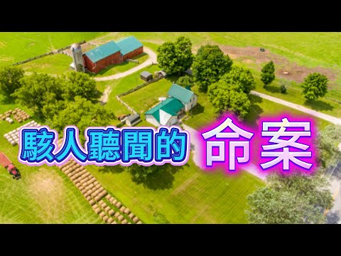 【真實案件】| 令人膽寒的屠夫！駭人聽聞的命案！#犯罪#案件 #案件解說 #真實故事 #criminal #刑事案件