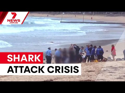 Sydney beaches closed after four shark attacks | 7NEWS