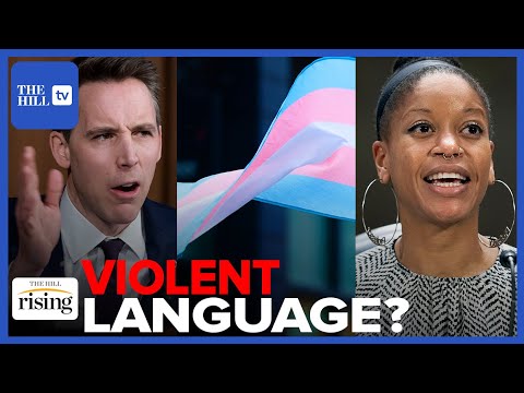 Sen. Hawley, Law Professor GO VIRAL For Spat Over 'Person With A Capacity For Pregnancy'