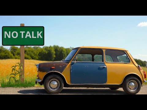 Relaxing Paintjob - Classic Mini Roof Restoration