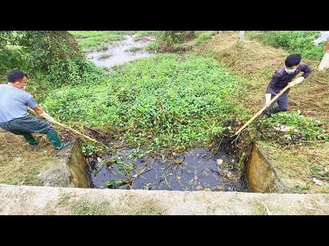 Let's mow the lawn and remove the carpets that cause fresh water drains