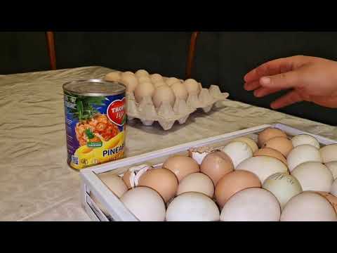 такой птицы у меня ещё небыло))) как думаете, кто это?)))