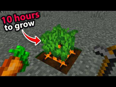 Can you Beat China's Hardest Minecraft Mod?