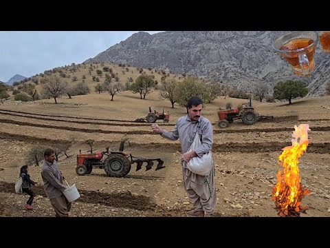 Nomadic Life in Iran | Hard Work in the Mountains