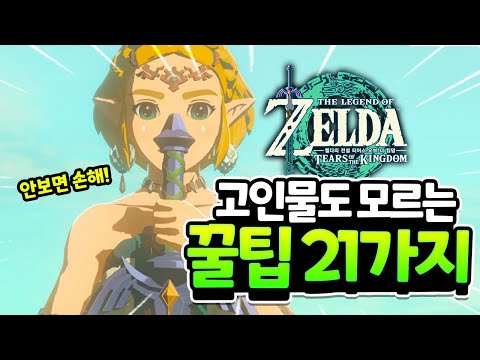 고인물들도 잘 모르는 21가지 꿀팁!! 안보면 손해라능~[젤다왕눈]