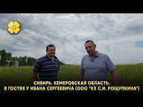 Сибирь. Кемеровская область.В гостях у Ивана Сергеевича (ООО &quot;КХ С.И. Рощупкина&quot;). 
