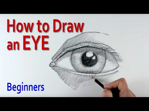 How to Draw a Human Eye (step by step)