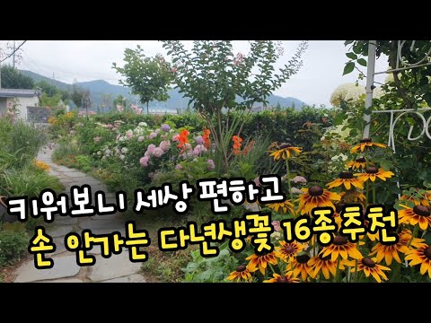 키워보니 세상 편하고 손 안가는  예쁜 다년생꽃16종추천,노지월동꽃 ,한번만 심어두면 되는 다년생꽃,