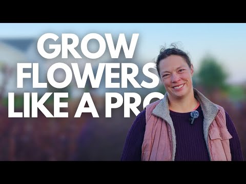 7 Tips for New Flower Farmers