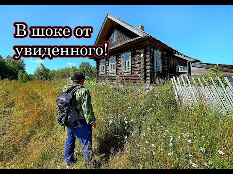 ОНИ ЖИЛИ В ЛЕСУ. Много находок СТАРИНЫ. Заброшенная деревня ВЯТКИ. Деревни в глубинке России.