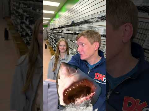 Movies to Video Games 🎮