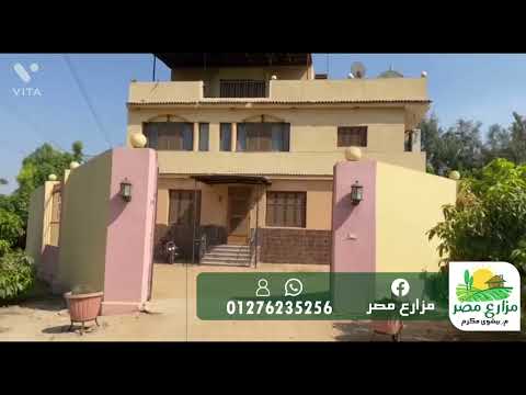 مزرعة ٧ فدان لقطة في المنصورية مسجلة شهر عقاري مزروعة بالكامل مانجو و بها فيلا و ساونا و جاكوزي