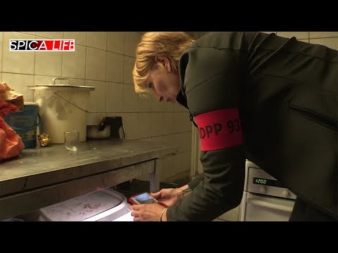 Brigade en action : les coulisses explosives des contrôles alimentaires