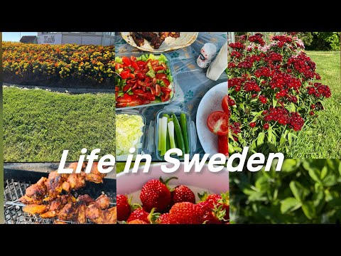 BeachVlog#SummerVibes#GrilledChicken#StrawberryStick #AfghanGirlVlog Strawberry Stick Taste Test 🍓