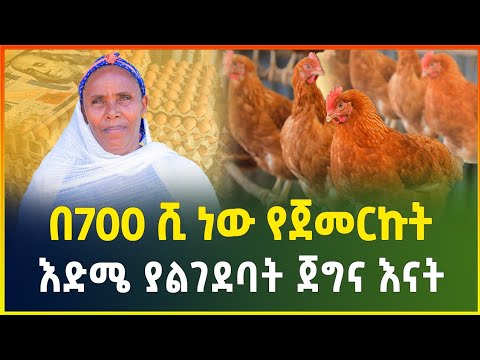 ሁሉም ሰው ከሰራ ሀብታም ይሆናል ! "የዶሮ እርባታ ስራ ጥሩ ነው " እድሜ ያልገደባት ጀግና እናት ! | chicken farming in Ethiopia