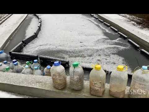 12/18/25. I brought New Year's beauty and order to the garage.