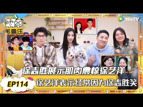 EP114超长沉浸版：徐志胜展示肌肉震惊徐艺洋？徐艺洋自曝经常被因为徐志胜笑到脸疼！|《毛雪汪》EP113 PLUS #综艺 #毛雪汪 #李雪琴 #毛不易 #姜妍