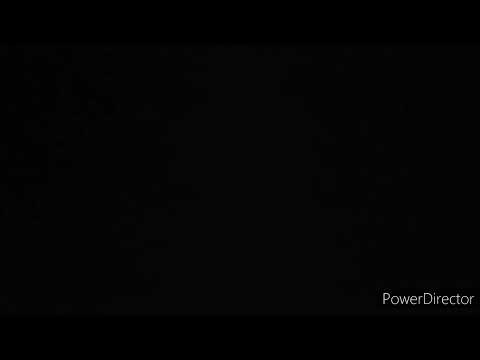 Cartoon Spinning Sound Effect for 15 Seconds