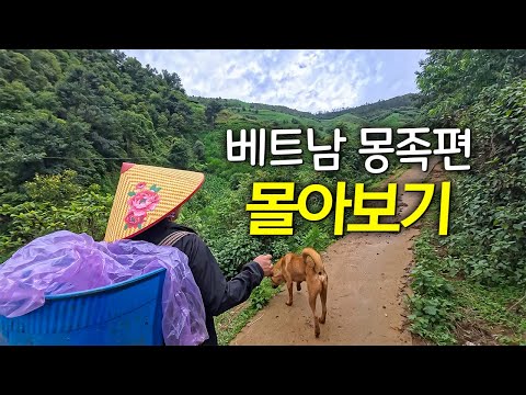 숨겨진 베트남, 몽족의 삶을 담다 [3박 4일 몰아보기]