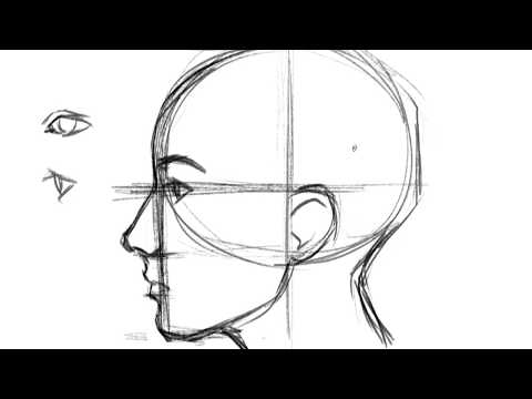 How to Draw a Face- Profile
