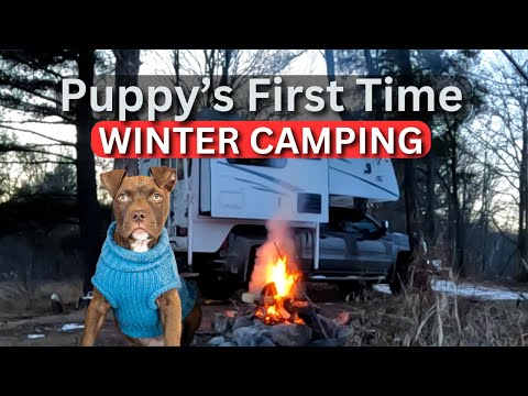 Puppy's First Winter Camping Experience!