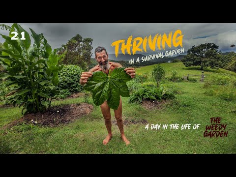 THRIVING IN A SURVIVAL GARDEN - A Day in the Life