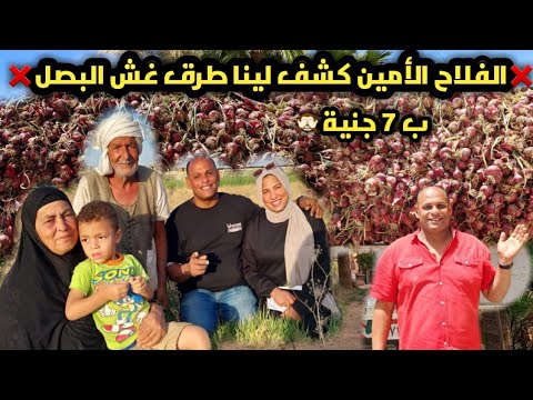 الفلاح الأمين كشف لينا طرق غش البصل♥️قبل ما تشترية وتخزنية تعالي اقولك ازاي تنقية⁉️🤔انخفاض الأسعار😉