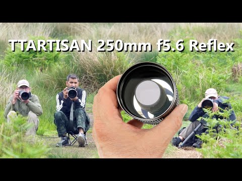 Having fun with TTARTISAN’s new compact 250mm reflex mirror lens.