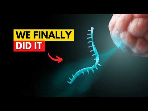 Why microRNA are About to Change the World