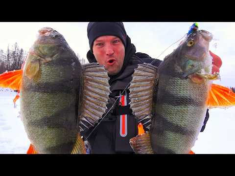 НЕ ВЕРЮ! ТОННЫ РЫБЫ ИДУТ ВАЛОМ! ЛОМАЕМ УДОЧКИ, РВЁМ ЛЕСКИ и ПОВОДКИ! ЭТО ВУЛКАНЫ ЭВЕНКИИ!