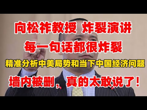 【墙内被删】向松祚炸裂演讲，每一句话都很炸裂！精准分析中美局势和当下中国经济问题，真的太敢说了！