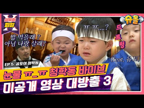 [삼둥이X파일🔍]5탄😥😭서당가서 눈물폭발📢삼둥이 COME ON😍📢[슈돌공식유튜브]