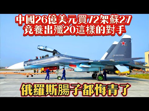 中國26億美元買72架蘇27，竟養出殲20這樣的對手，俄羅斯腸子都悔青了！#苏27#歼20#军事新闻#武器装备#军事科普#武器科普#军事装备#飞机#战斗机