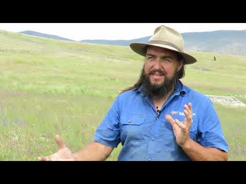 The Six Principles of Ecological Restoration
