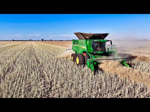 Onto the canola!- Harvest ‘25 Ep 8