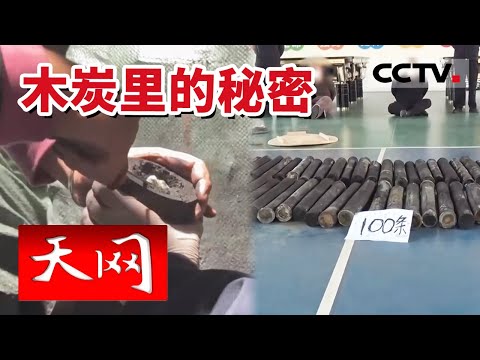 《天网》木炭藏毒 查获93公斤！拆毒包拆到“手抽筋” 20230626 | CCTV社会与法