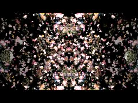 ♦ Nick Knight | Tribute to Alexander McQueen ~ (Music by Björk) ♦