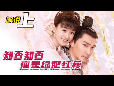 一口气看完《知否知否应是绿肥红瘦》全网最详细解说，看完盛明兰的艰难成长史【上】