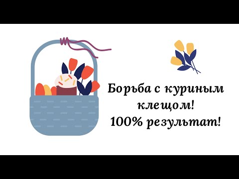 Борьба с куриным клещом. 100% результат! Обновленное видео!