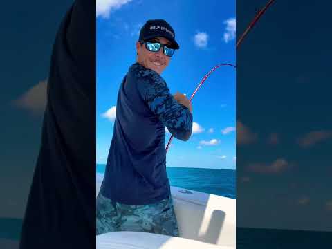 Fish Eats my bait TWICE! 😜#shorts #fishing #omg #reels #fyp