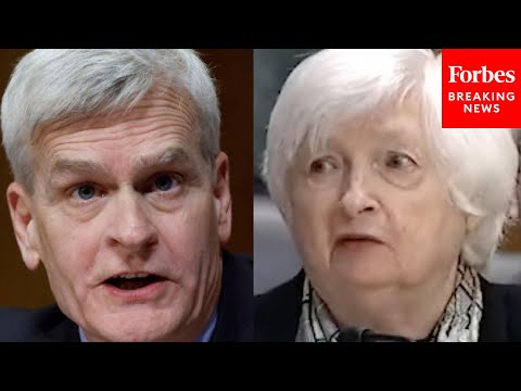 'That's A Lie!': Bill Cassidy Harshly Confronts Janet Yellen