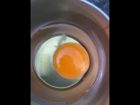 Blinkit reviews: Spoiled eggs received ,the fungus one | PissedConsumer.com