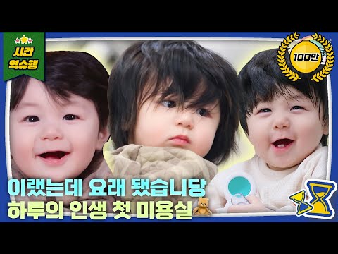 ✂️Heart-Flutter Alert💦 Haru's First Salon Visit at 279 days💕 | The Return of Superman KBS 251112