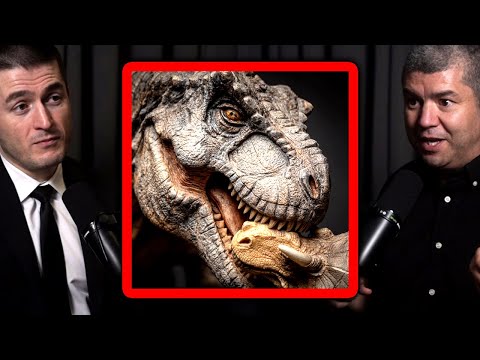 Who T-Rex hunted | Dave Hone and Lex Fridman