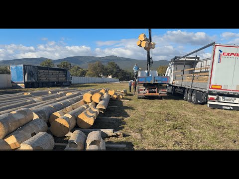8 Trucks Unloaded in 48 Hours: The "Titan" House in Slovakia (15x25m, 40cm Logs) Part 3